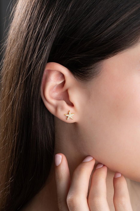 Heliophilia Silver Pendientes de Plata de Ley 925 con Recubrimiento de Oro y Circón
